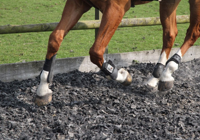 AMG Landservices Equestrian